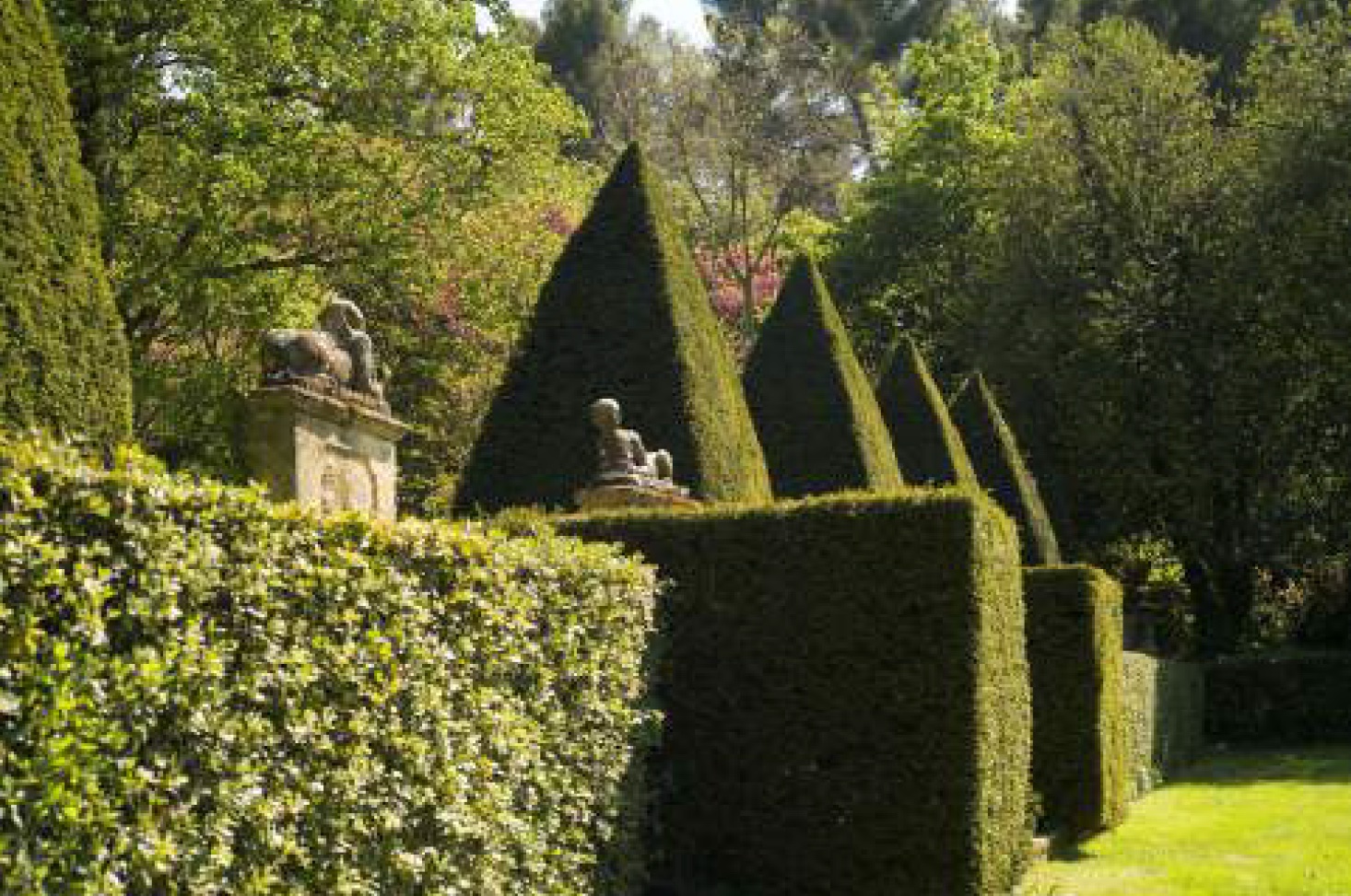Art topiaire. Parc des jardins d’Albertas, Bouc-Bel-Air (Bouches-du-Rhône). Cliché Y. Cranga, 2021