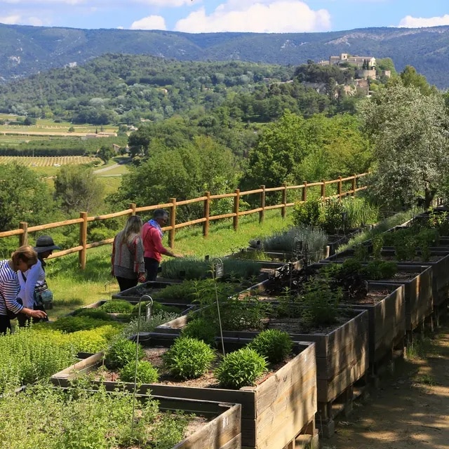 jardin botanique de la Citadelle à Ménerbes