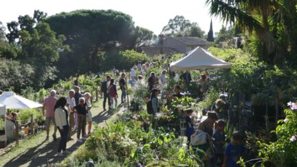 La fête des plantes méditerranéennes - Gondwana